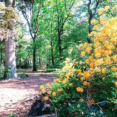 Hotel City Hotel Bergen Op Zoom 3*