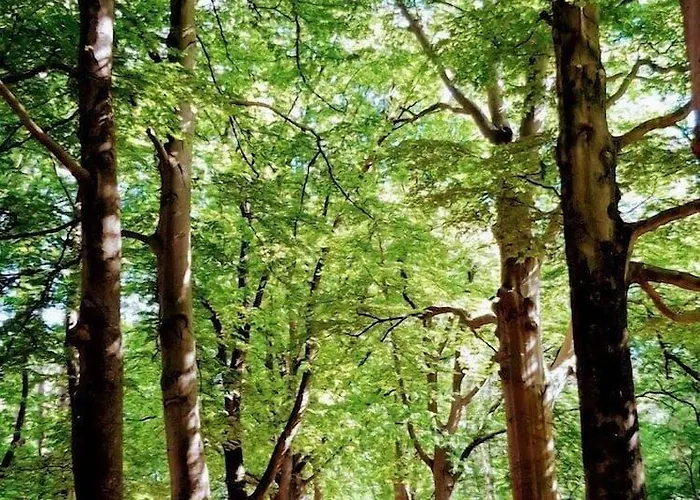 City Hotel Bergen Op Zoom Hotel 3*