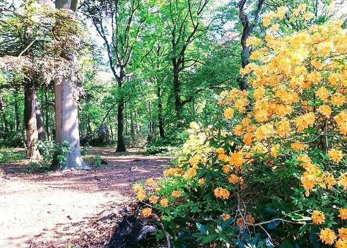 Hotel City Hotel Bergen Op Zoom 3*