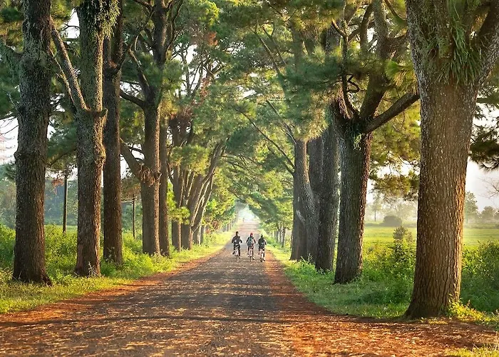 City Hotel Bergen Op Zoom Bergen op Zoom